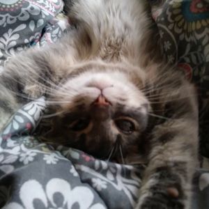 Meet your Posher, Patricia